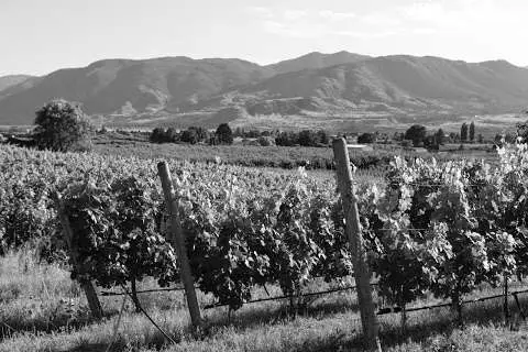Township 7 Vineyards & Winery - Naramata Bench